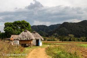 Viñales - ...fra le piantagioni