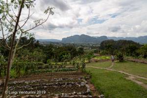 Viñales - Finca Agroecologica El Paraiso