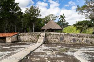 Cafetal Buenavista - secadores