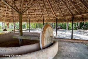 Cafetal Buenavista - La grande tajona (macina)