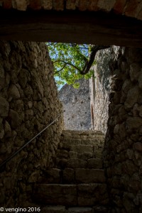 Avio - Il Castello-13     