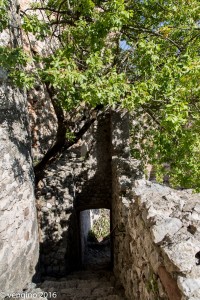 Avio - Il Castello-24    