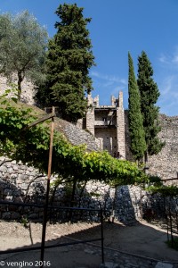 Avio - Il Castello-07    