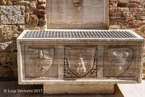 La Fonte della contrada dell'Istrice - particolare della vasca
