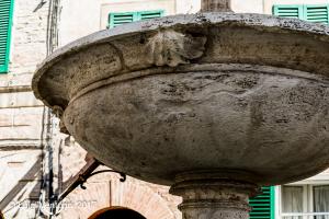 La Fonte della Nobile contrada del Nicchio - particolare