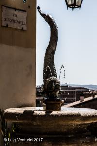 La Fonte della contrada Capitana dell'Onda - il delfino