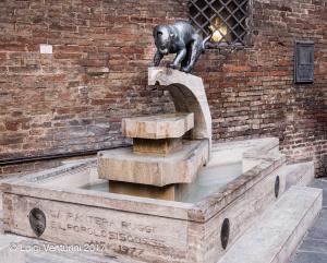 La Fonte della contrada della Pantera