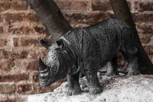 La Fonte della contrada della Selva - il rinoceronte