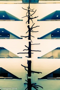 Mart Elaborazione-13     