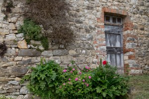 Castello Di Cacchiano - scorcio             