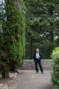 Castello di Brolio - Giorgio nel parco    